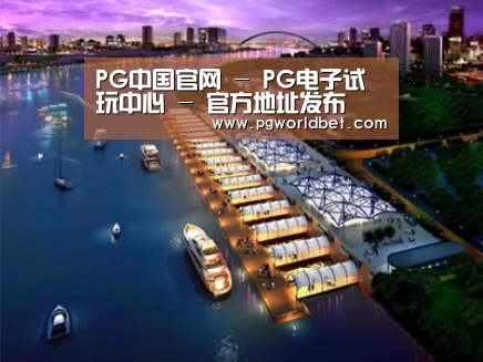 案例展示八