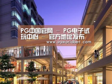 案例展示一