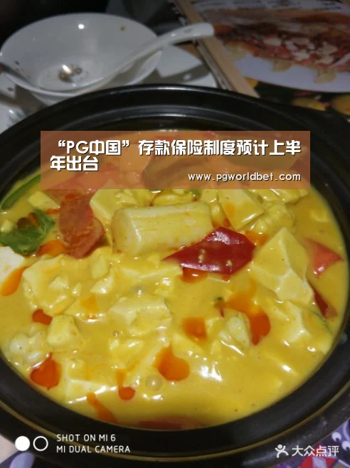 “PG中国”存款保险制度预计上半年出台(图2) PG试玩